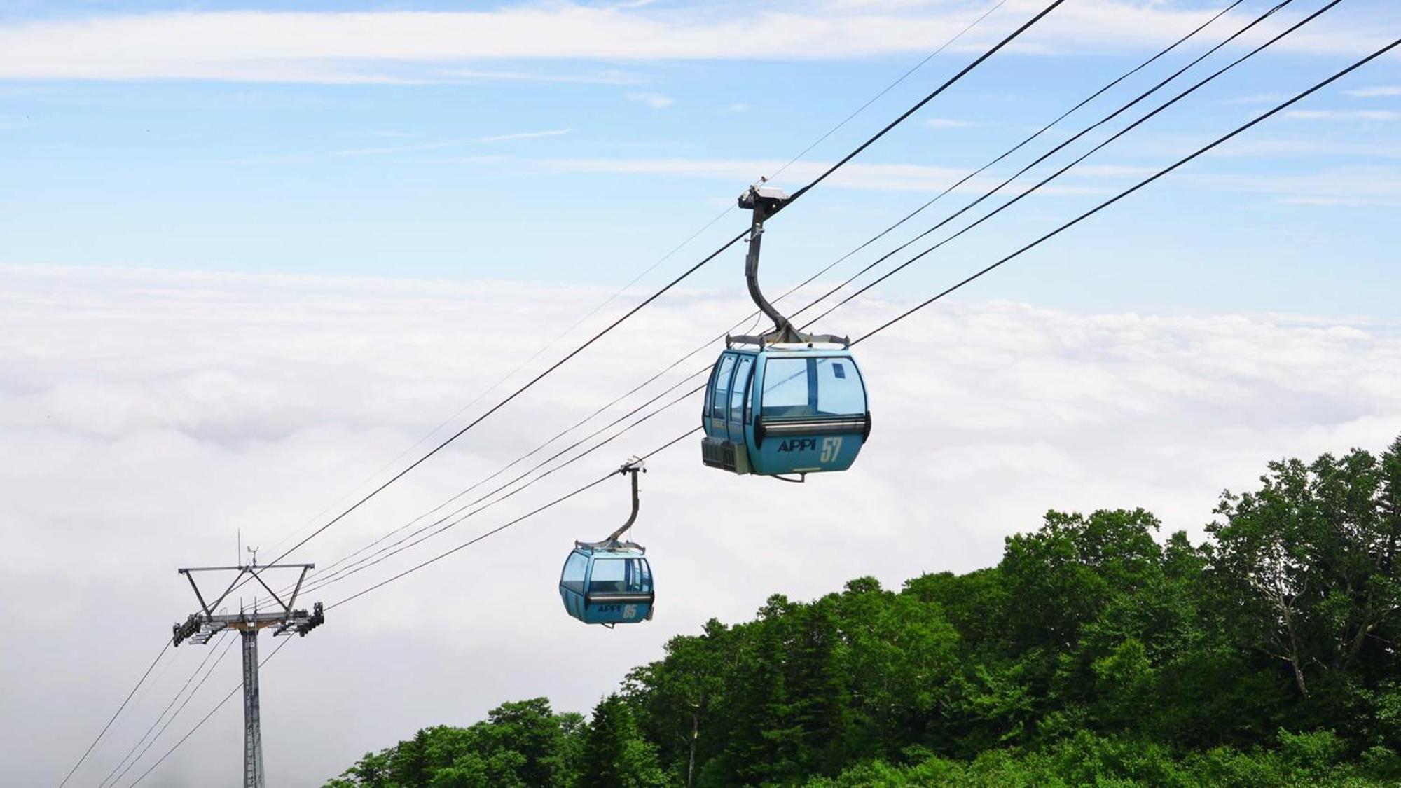 Ana Intercontinental Appi Kogen Resort By Ihg Hacsimantai Kültér fotó
